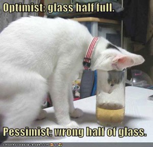 glasscat